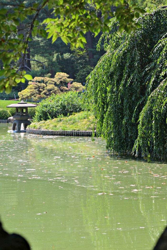 Brooklyn.Botanical.Japanese.Hill.and.Pond.Garden
