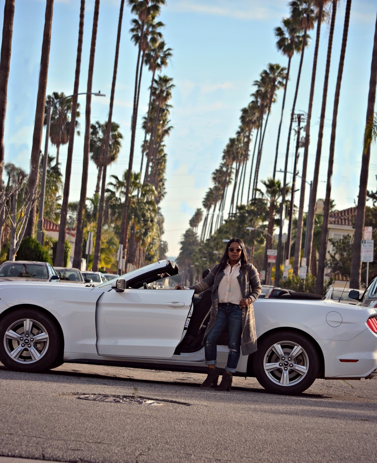 Los Angeles Palms Lined Street in A Convertible Mustang Listening To Mary J. Blige