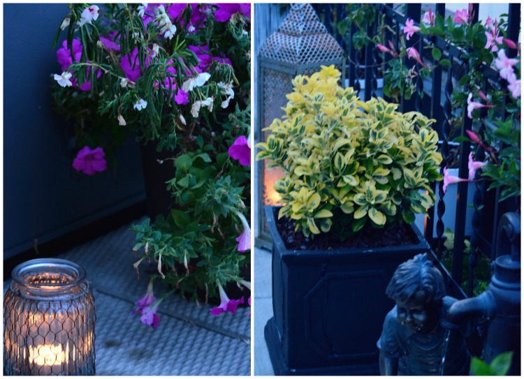 Large pots and plants on the terrace - Greenspired