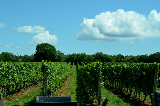 Long Island Wineries: Sparkling Pointe_Macari_Raphael_Grand Ole_Osprey Dominion