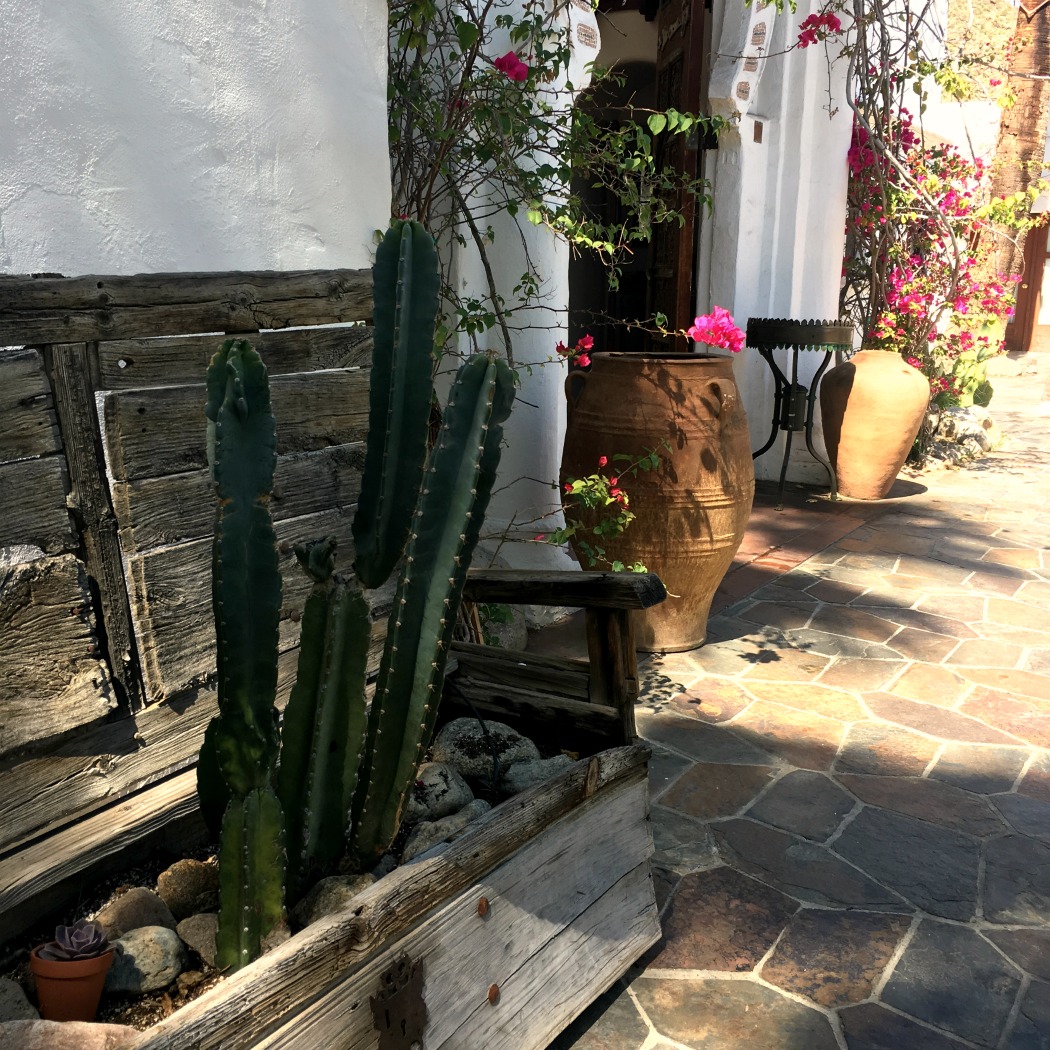 Korakia Cacti Mediterranean Hideaway Courtyard