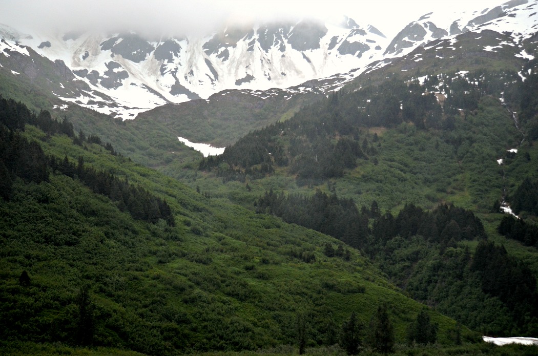 Anchorage-Grandview Glacier Discovery_Holland America Line Cruise