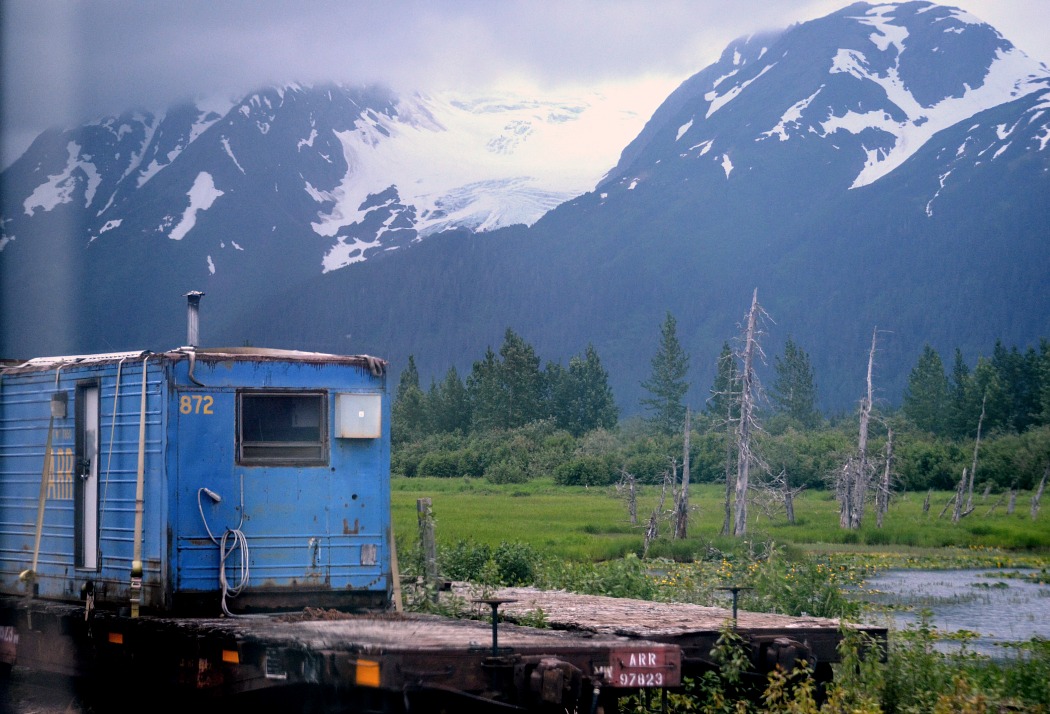 Anchorage-Grandview Glacier Discovery_Holland America Line Cruise