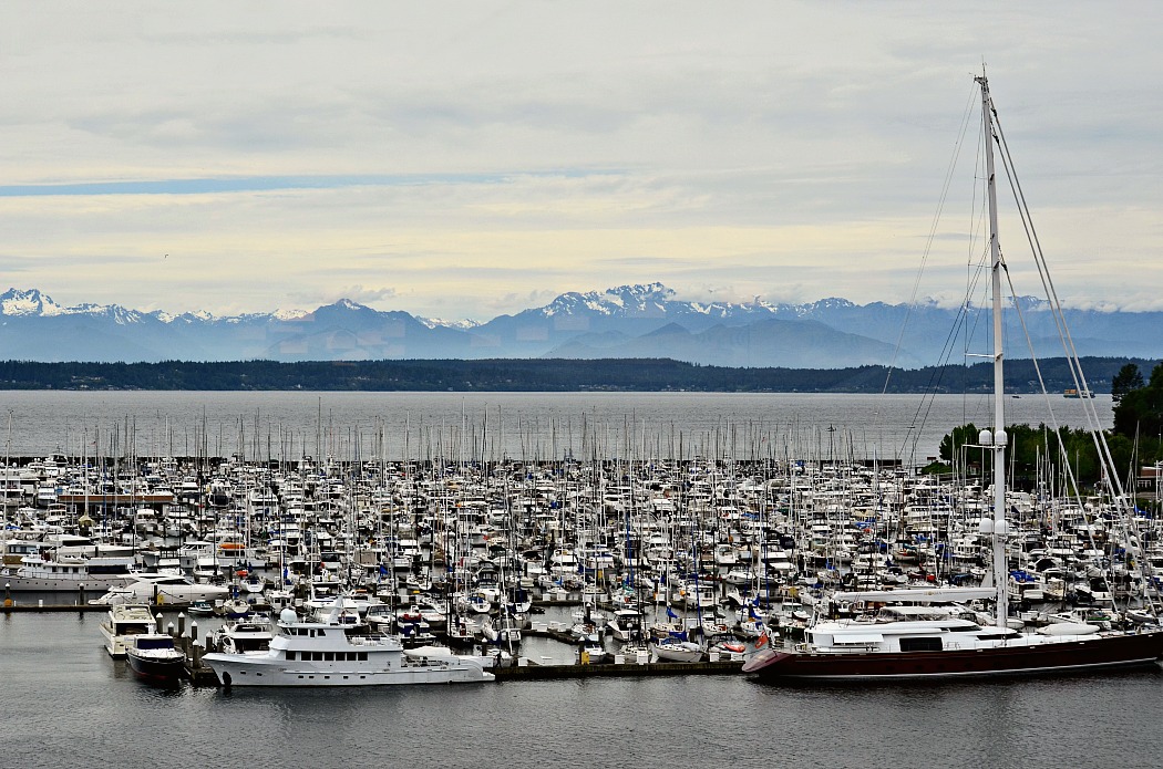 Holland America Line Seattle Marina Port View